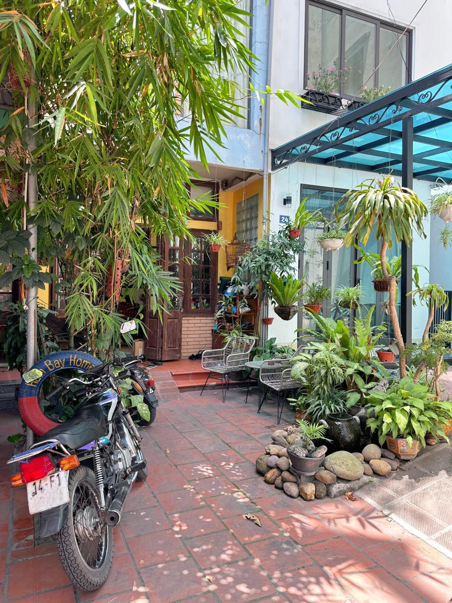 Halo Bay Homestay ها لونغ المظهر الخارجي الصورة