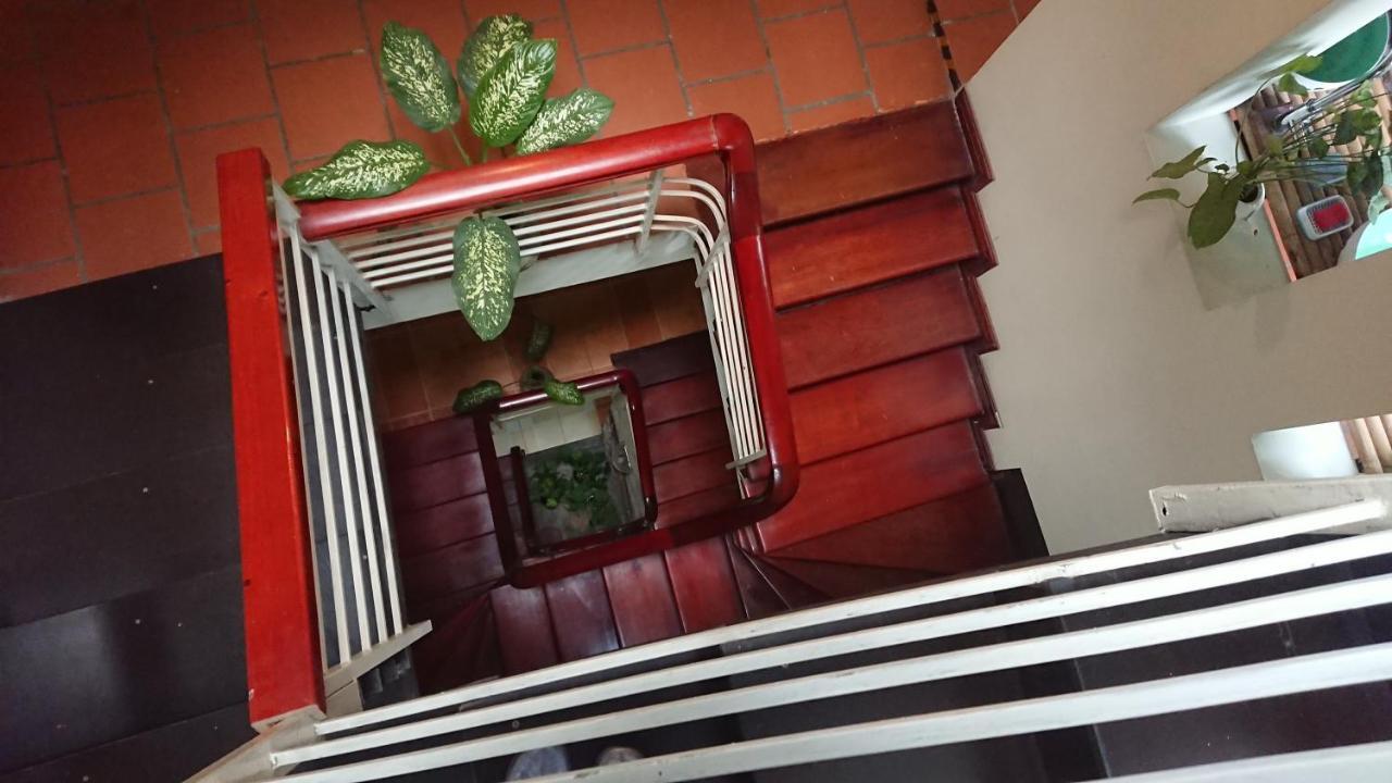 Halo Bay Homestay ها لونغ المظهر الخارجي الصورة